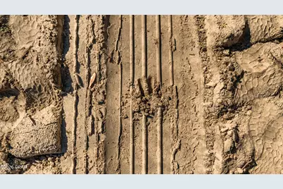 00 Sylvania Plantation Road, Greenwood, FL 32443 - Photo 57