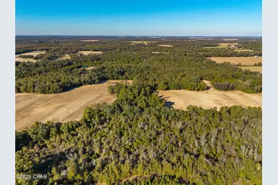 00 Sylvania Plantation Road, Greenwood, FL 32443 - Photo 33