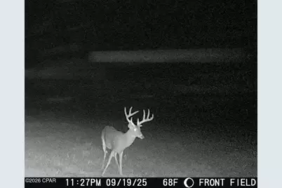 00 Sylvania Plantation Road, Greenwood, FL 32443 - Photo 55