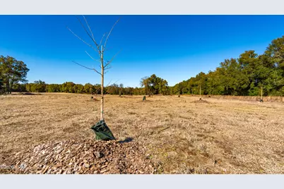 00 Sylvania Plantation Road, Greenwood, FL 32443 - Photo 11