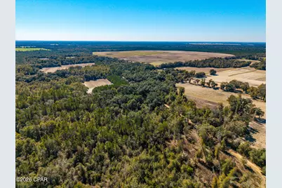 00 Sylvania Plantation Road, Greenwood, FL 32443 - Photo 39