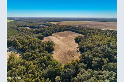 00 Sylvania Plantation Road, Greenwood, FL 32443 - Photo 29