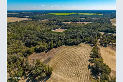 00 Sylvania Plantation Road, Greenwood, FL 32443 - Photo 37