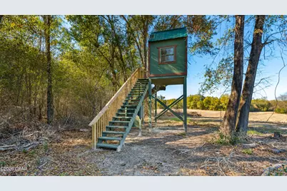 00 Sylvania Plantation Road, Greenwood, FL 32443 - Photo 47