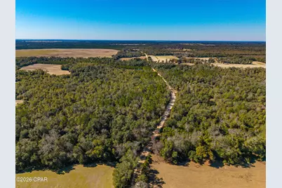 00 Sylvania Plantation Road, Greenwood, FL 32443 - Photo 35