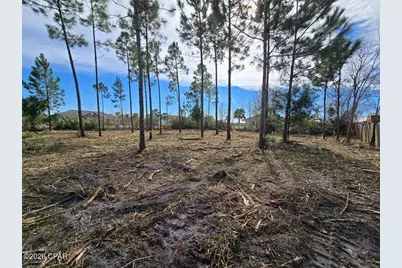 429 7th Street, Mexico Beach, FL 32456 - Photo 5