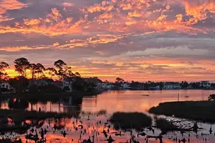 3207 Swordfish Dr, Panama City, FL 32408 - Photo 3