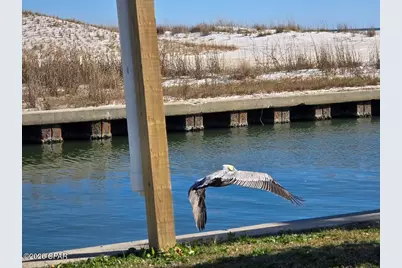 425 California Avenue, Mexico Beach, FL 32456 - Photo 15