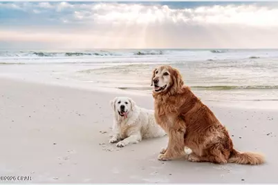 223 Park Point Circle, Cape San Blas, FL 32456 - Photo 21