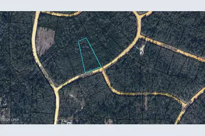 Tbd Apache Drive, Alford, FL 32420 - Photo 1