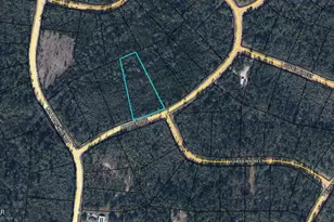 Tbd Apache Dr, Alford, FL 32420 - Photo 1