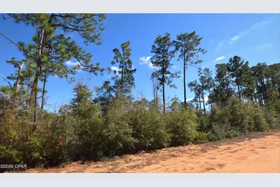 Xxx Fairborn Avenue, Alford, FL 32420 - Photo 1