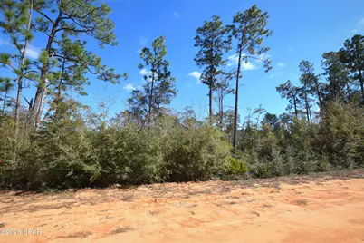 Xxx Fairborn Avenue, Alford, FL 32420 - Photo 3