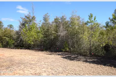 Xxx Spirit Court, Alford, FL 32420 - Photo 1