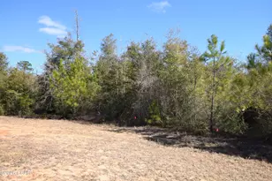 Xxx Spirit Ct, Alford, FL 32420 - Photo 1