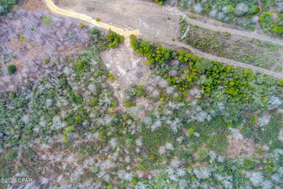 8450 Kiwi Lane, Youngstown, FL 32466 - Photo 19