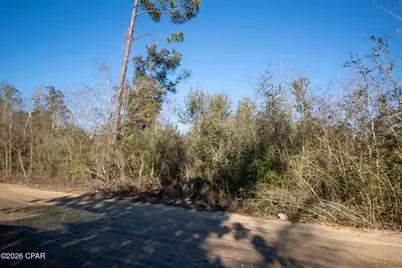 8450 Kiwi Lane, Youngstown, FL 32466 - Photo 5