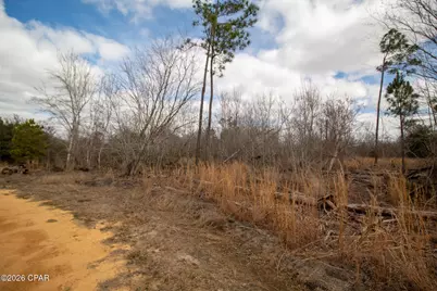 8450 Kiwi Lane, Youngstown, FL 32466 - Photo 11