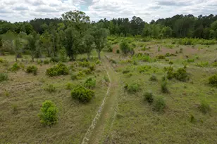 2031 Crews Pl, Bonifay, FL 32425 - Photo 73