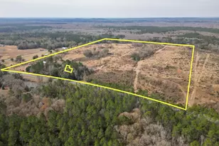 2031 Crews Pl, Bonifay, FL 32425 - Photo 69