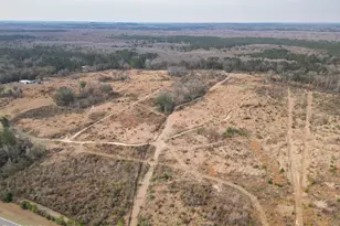 2031 Crews Pl, Bonifay, FL 32425 - Photo 65