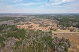 2031 Crews Pl, Bonifay, FL 32425 - Photo 71