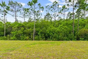 107 Cades Ct, Port Saint Joe, FL 32456 - Photo 33