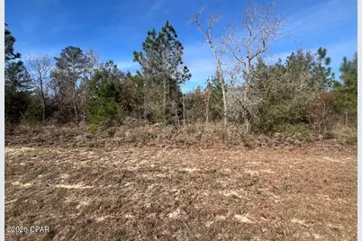 0 Dandelion Drive, Chipley, FL 32428 - Photo 1
