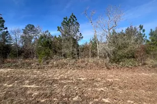 0 Dandelion Dr, Chipley, FL 32428 - Photo 1
