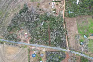 1413 Walker Rd, Graceville, FL 32440 - Photo 27