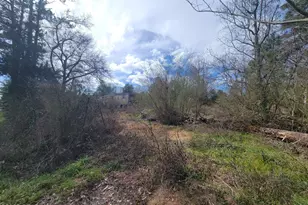 2905 Circle T Way, Marianna, FL 32448 - Photo 7