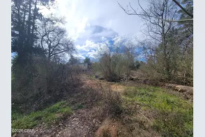 2905 Circle T Way, Marianna, FL 32448 - Photo 3