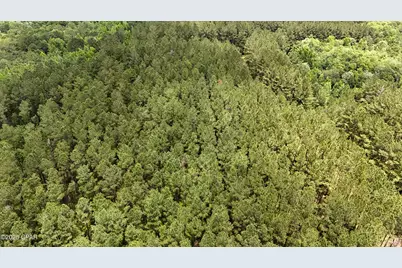 0 Southern Oak Way, Westville, FL 32464 - Photo 7