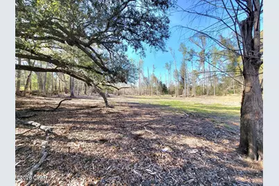 Tbd Hwy 90, Sneads, FL 32460 - Photo 1