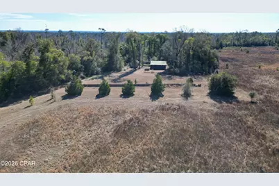 7849 Leatherneck Trail, Grand Ridge, FL 32442 - Photo 19