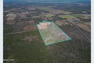 7849 Leatherneck Trail, Grand Ridge, FL 32442 - Photo 5