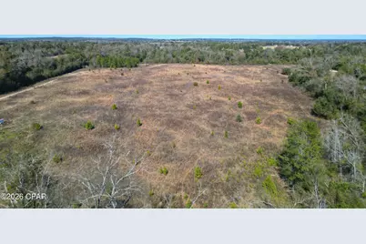 7849 Leatherneck Trail, Grand Ridge, FL 32442 - Photo 11