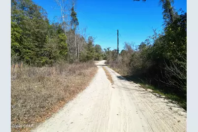 7849 Leatherneck Trail, Grand Ridge, FL 32442 - Photo 9