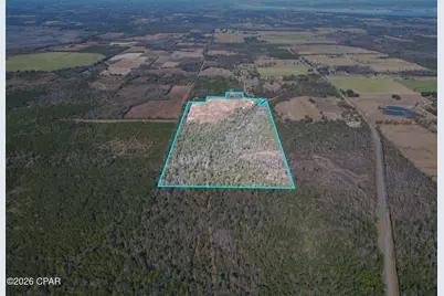 7849 Leatherneck Trail, Grand Ridge, FL 32442 - Photo 3