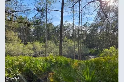 0 No Street Address, Panama City Beach, FL 32413 - Photo 7