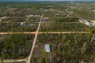 18006 Overland Ave, Fountain, FL 32438 - Photo 33