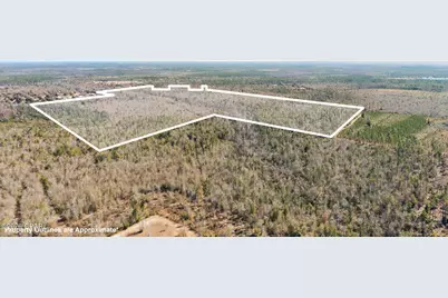 0 Hwy 231, Panama City, FL 32404 - Photo 9