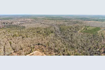 0 Hwy 231, Panama City, FL 32404 - Photo 3