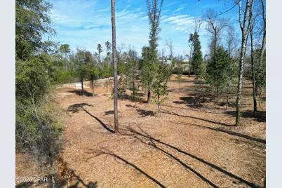 0 Donna Drive, Marianna, FL 32446 - Photo 9