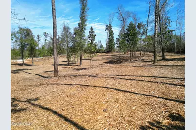 0 Donna Drive, Marianna, FL 32446 - Photo 7