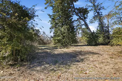 9203 Lake Forest Drive, Youngstown, FL 32466 - Photo 7