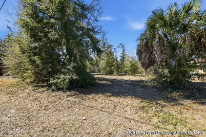 9209 Lake Forest Drive, Youngstown, FL 32466 - Photo 7