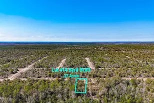 Lot 14 Byrd Blvd, Chipley, FL 32428 - Photo 1