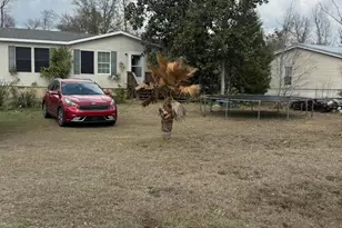 10730 S Fork Loop, Panama City, FL 32404 - Photo 23