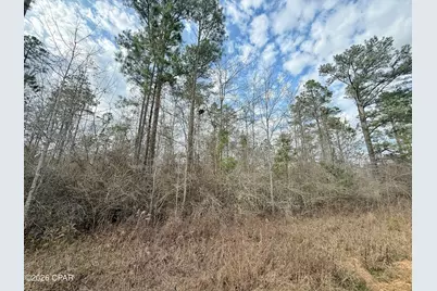 1718 Palmview Road, Cottondale, FL 32431 - Photo 3